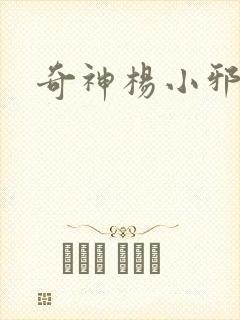 奇神杨小邪封面