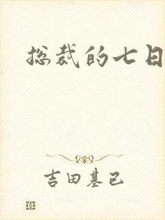 总裁的七日恋人