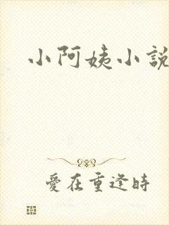 小阿姨小说