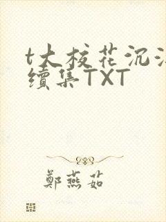 t大校花沉浮录续集TXT封面
