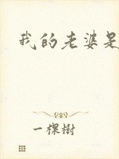 我的老婆是军阀