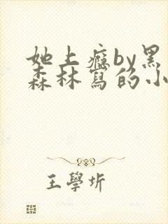 她上瘾by黑暗森林写的小说免费阅读无弹窗