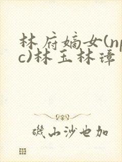 林府嫡女(npc)林玉林璋