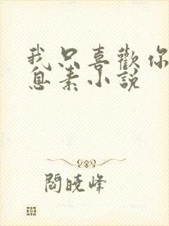 我只喜欢你的信息素小说封面