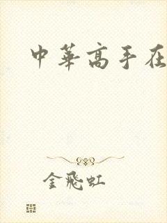 中华高手在异世