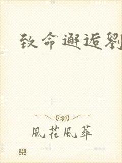 致命邂逅刘小寐