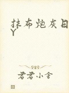 抹布炮灰日记BY