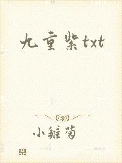 九重紫txt