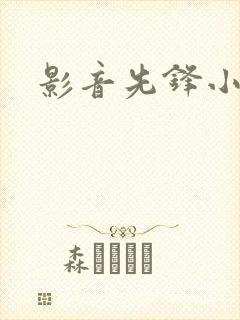 影音先锋小说封面