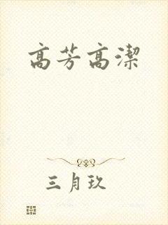 高芳高洁封面