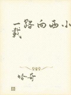 一路向西小说下载封面