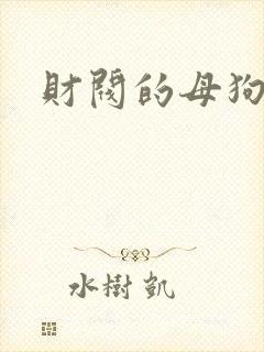 财阀的母狗们封面