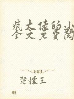 疯大佬的小玩物全文免费阅读小说