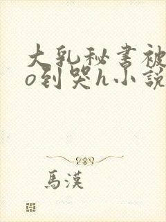 大乳秘书被cao到哭h小说封面