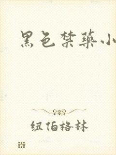 黑色禁药小说