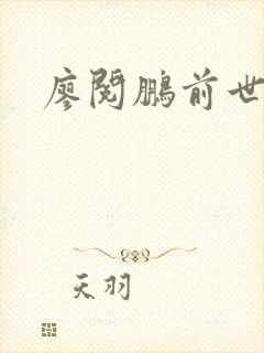 廖阅鹏前世今生封面