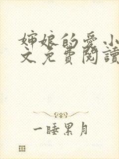 婶娘的爱小说全文免费阅读