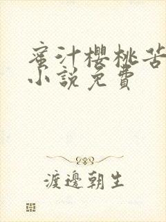 蜜汁樱桃苦咖啡小说免费封面