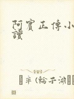 阿宾正传小说在读