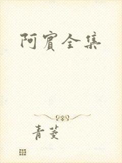 阿宾全集封面
