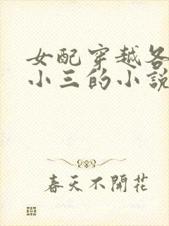 女配穿越各个做小三的小说