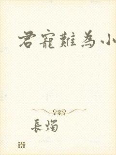 君宠难为小说封面