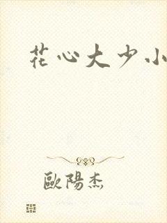 花心大少小说封面