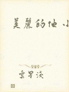 美丽的他 小说