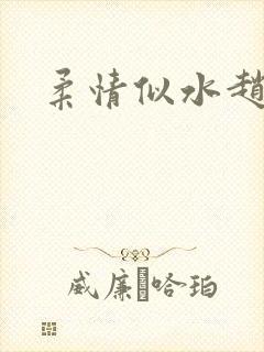 柔情似水赵雅儿