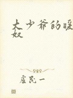 大少爷的暖床小奴封面