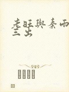 老旺与秦雨三进三出