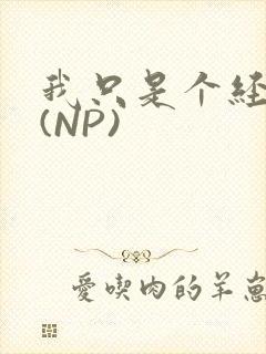 我只是个经纪人(NP)