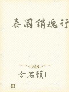 泰国销魂行封面