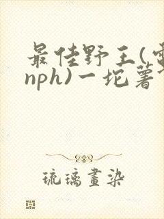 最佳野王(电竞nph)一坨薯饼