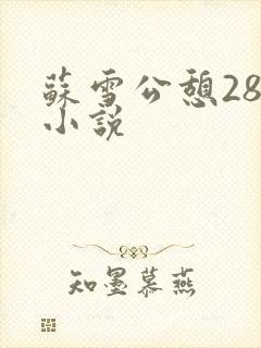 苏雪公憩28篇小说