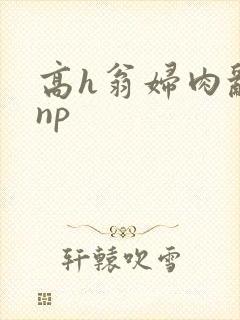 高h翁妇肉乱文np封面