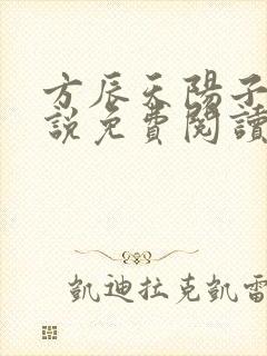 方辰天阳子的小说免费阅读