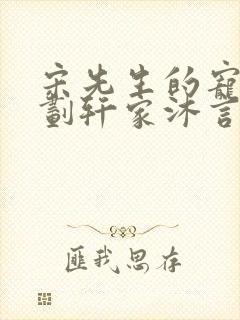 宋先生的宠妻计划轩家沐言