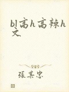 bl高h高辣h文封面