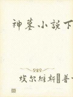 神墓小说下载
