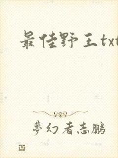 最佳野王txt封面