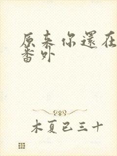 原来你还在这里番外封面