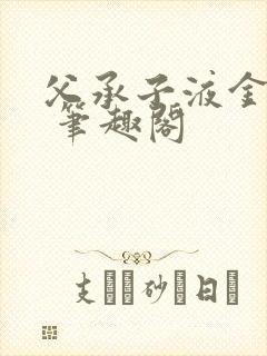 父承子液金银花 笔趣阁封面