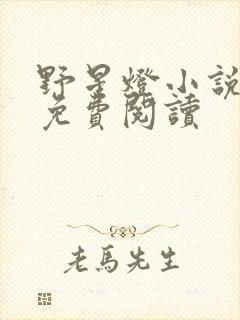 野星灯小说全文免费阅读封面