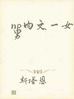 np肉文一女多男封面