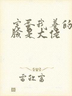 完蛋我养的小白脸是大佬