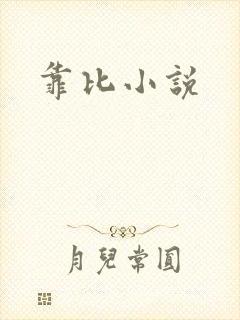 靠比小说