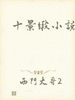 十景缎小说