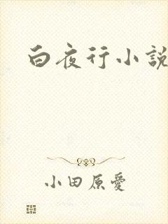 白夜行小说下载