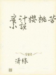 蜜汁樱桃苦咖啡小说